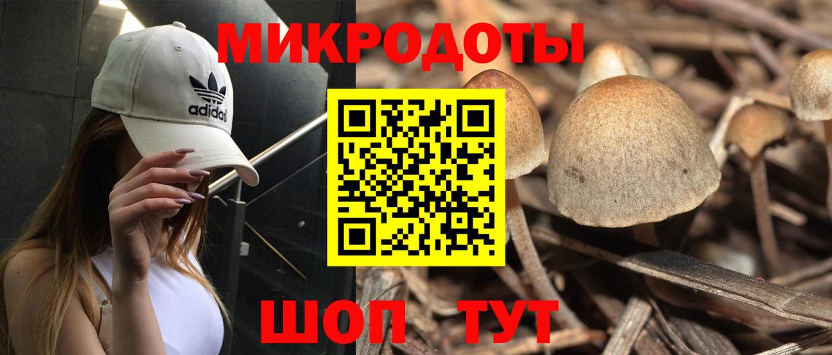 Галлюциногенные грибы MAGIC MUSHROOMS Кропоткин