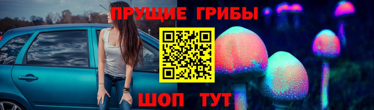 Кропоткин  Галлюциногенные грибы Magic Shrooms  Вход с VPN 
